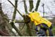 Пила ланцюгова акумуляторна STANLEY FATMAX SFMCCS630M1+SFMCPP32M1