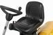Райдер бензиновый STIGA Park500WX